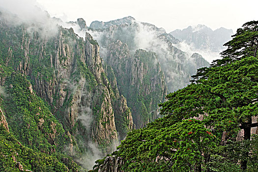 强效昏睡的药在哪有卖C1B8D97C5-18975